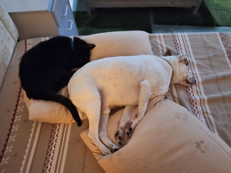 Tondo of the Oldwoman family