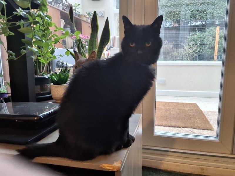 Oldwoman uploaded   1 year/s ago