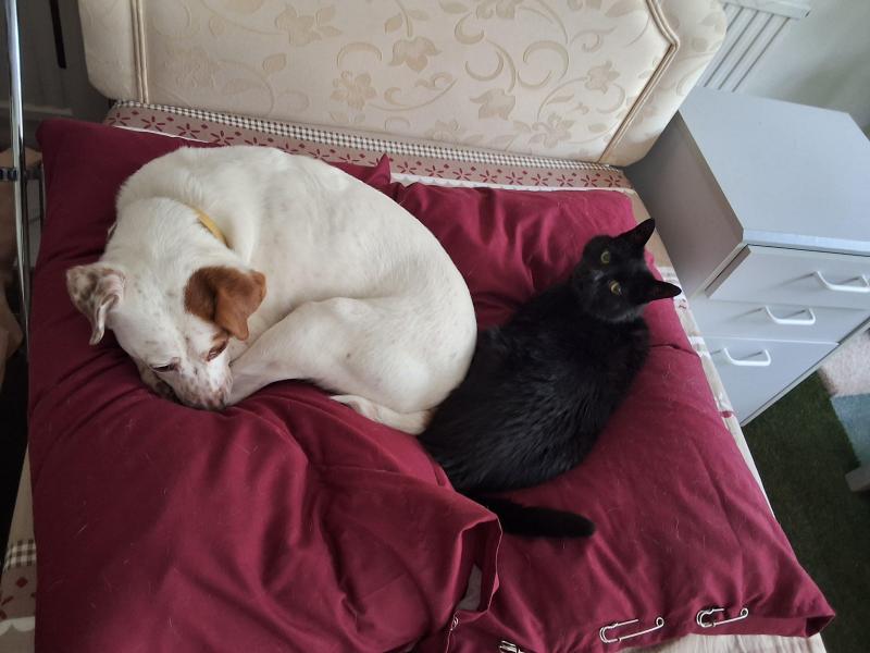 Oldwoman uploaded   1 year/s ago