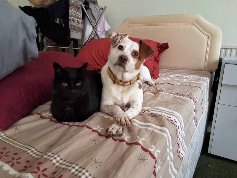 Oldwoman uploaded   1 year/s ago