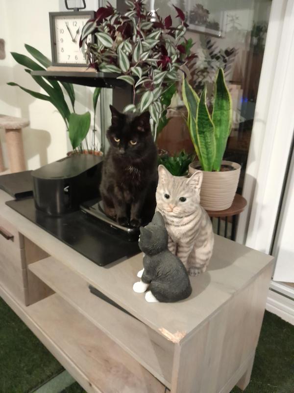 Oldwoman uploaded   1 year/s ago