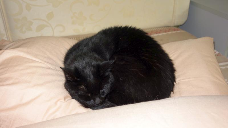 Oldwoman uploaded   1 year/s ago