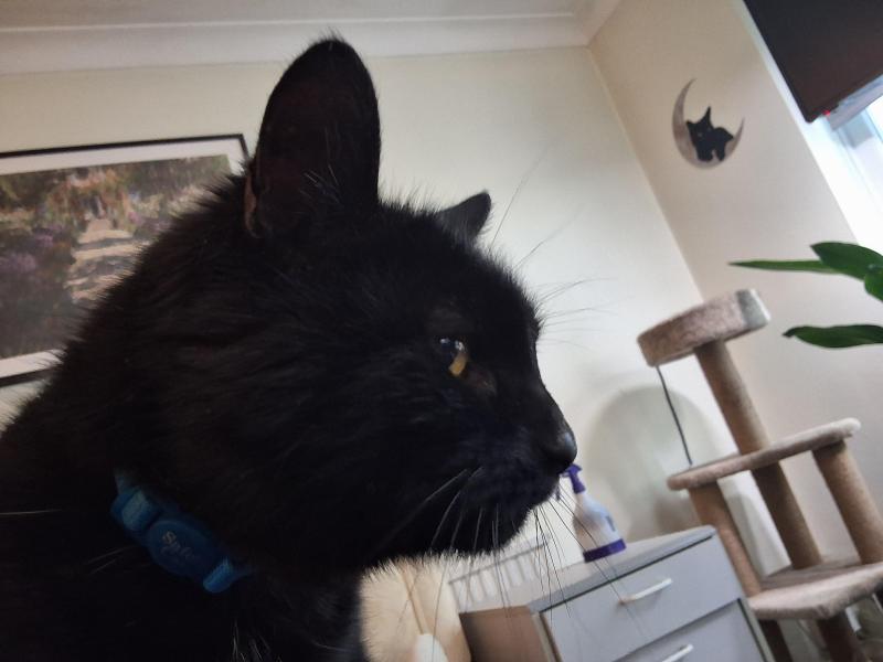 Oldwoman uploaded   335  day/s  ago