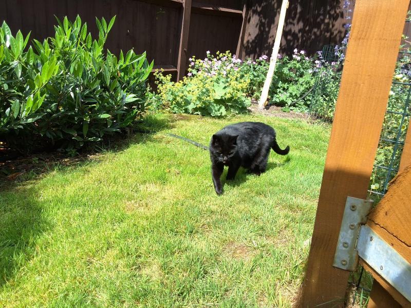 Oldwoman uploaded   316  day/s  ago