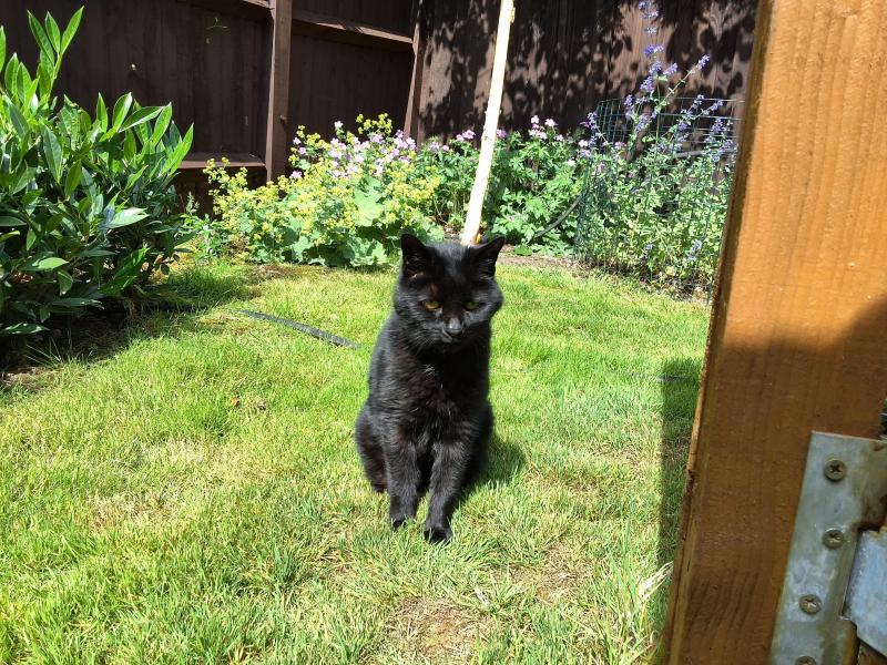 Oldwoman uploaded   316  day/s  ago