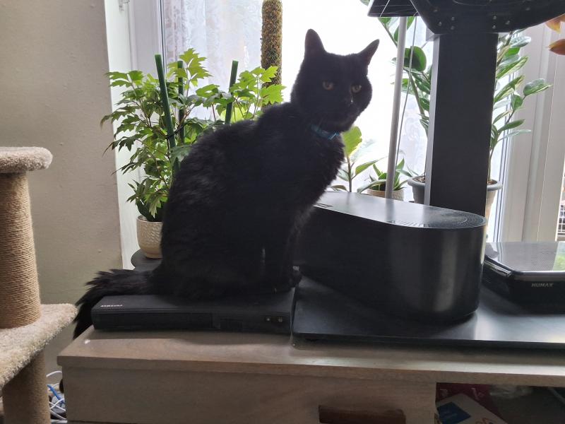 Oldwoman uploaded   310  day/s  ago