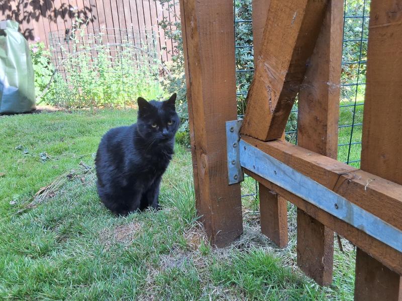 Oldwoman uploaded   330  day/s  ago