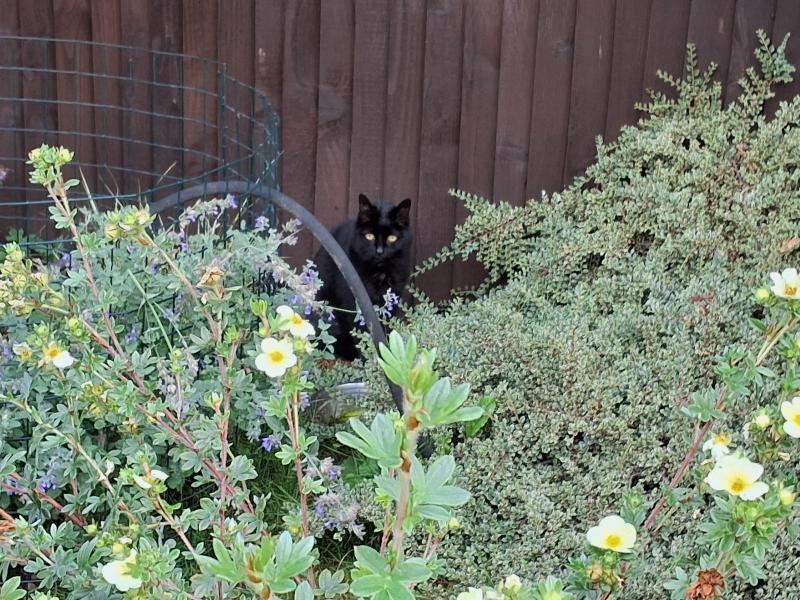 Oldwoman uploaded   281  day/s  ago