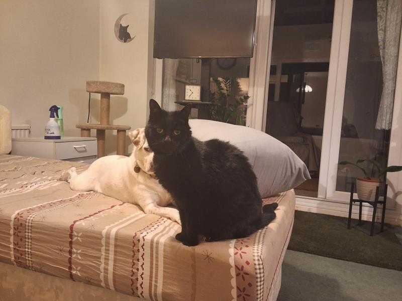 Tondo of the Oldwoman family