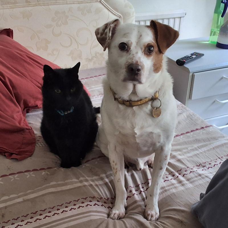 Oldwoman uploaded   1  day/s  ago