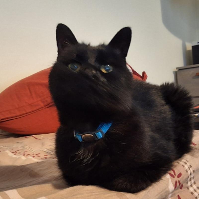 Oldwoman uploaded   52  day/s  ago