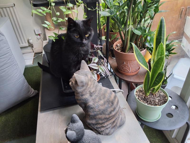 Tondo of the Oldwoman family