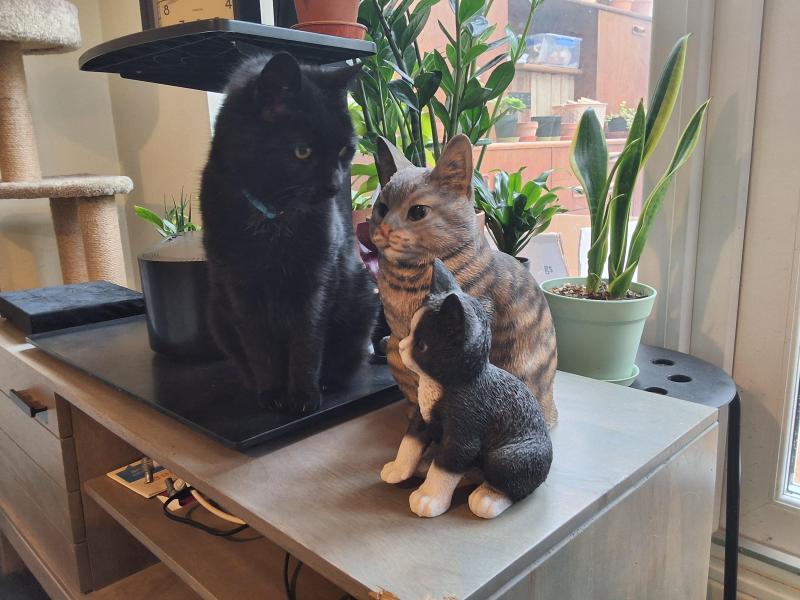 Oldwoman uploaded   33  day/s  ago