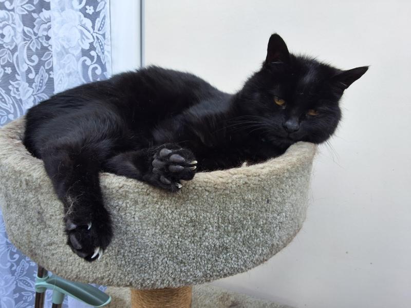 Tondo of the Oldwoman family