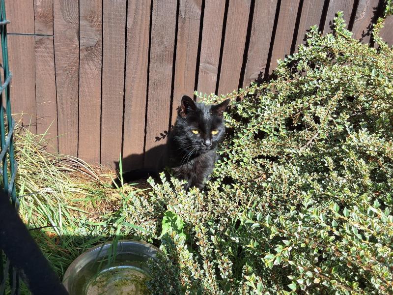 Oldwoman uploaded   330  day/s  ago