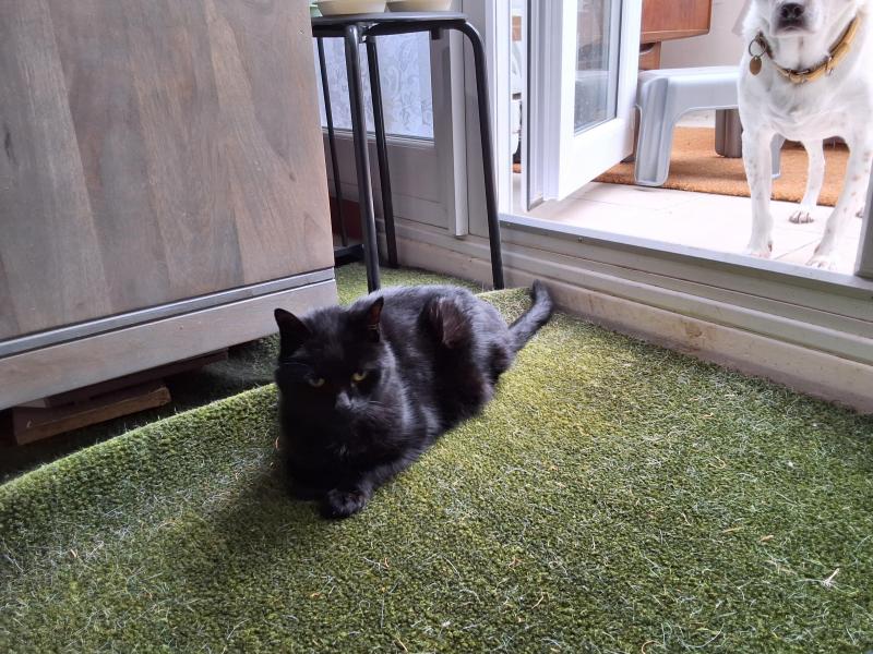 Tondo of the Oldwoman family