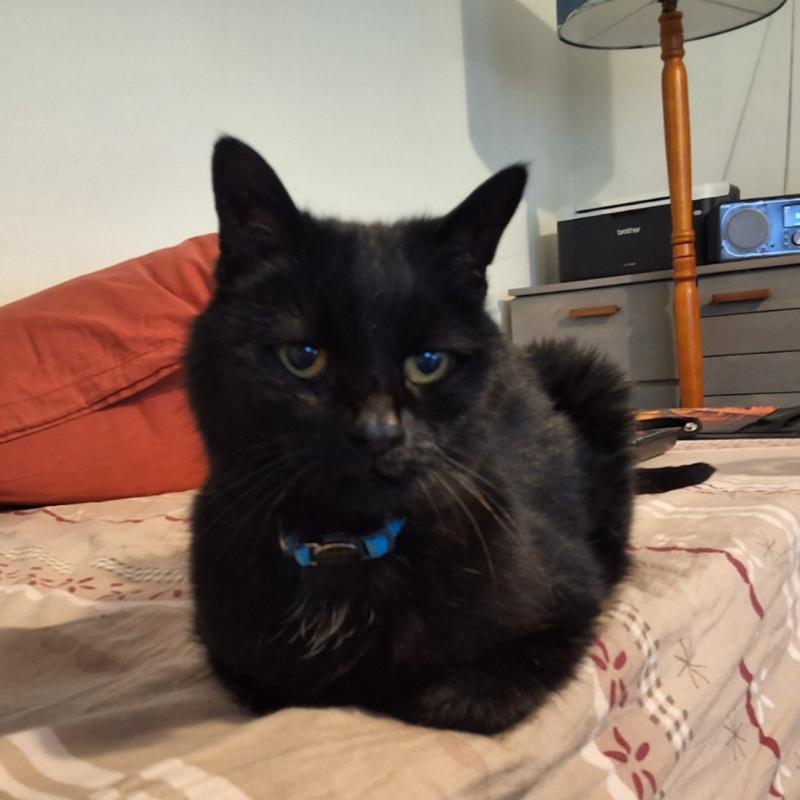 Oldwoman uploaded   52  day/s  ago