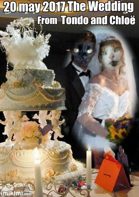 Oldwoman uploaded   2 year/s ago