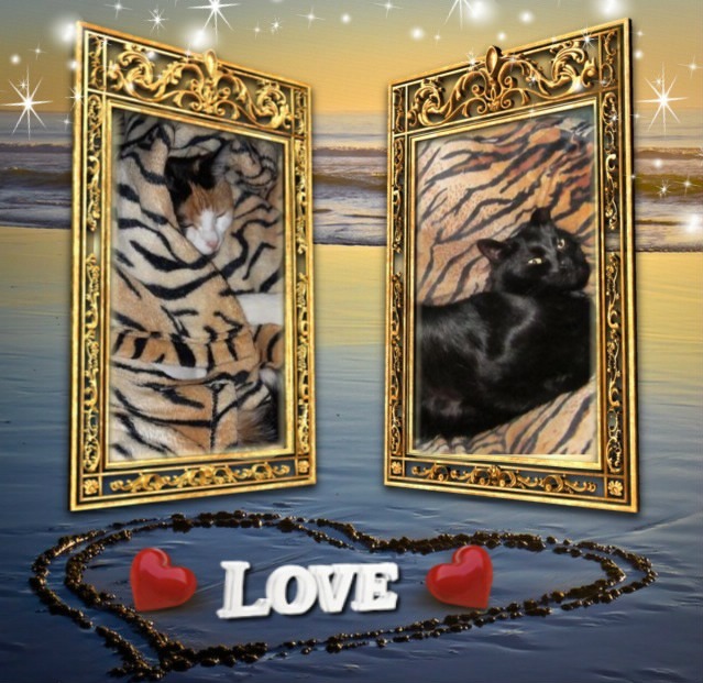 Tondo of the Oldwoman family