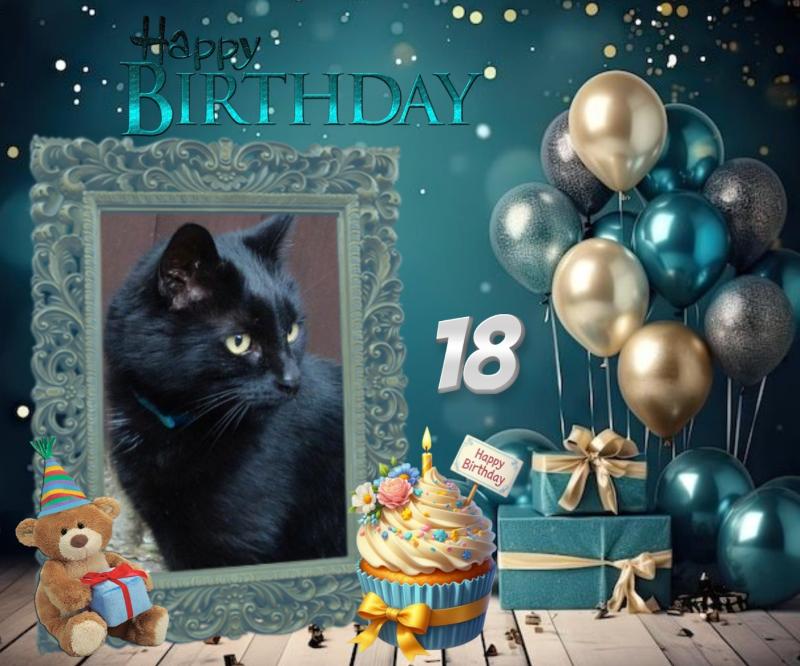 Oldwoman uploaded   34  day/s  ago