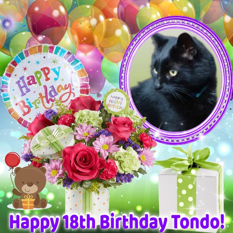 Oldwoman uploaded   34  day/s  ago