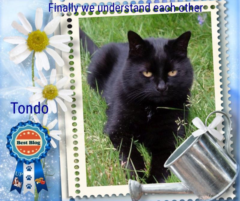 Tondo of the Oldwoman family