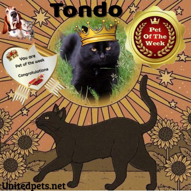 Tondo of the Oldwoman family