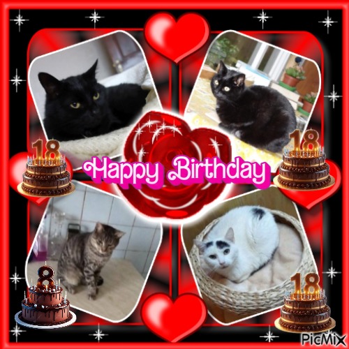 Oldwoman uploaded   34  day/s  ago