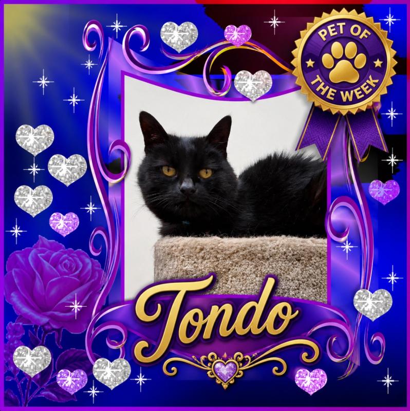 Tondo of the Oldwoman family