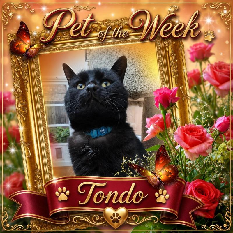 Tondo of the Oldwoman family
