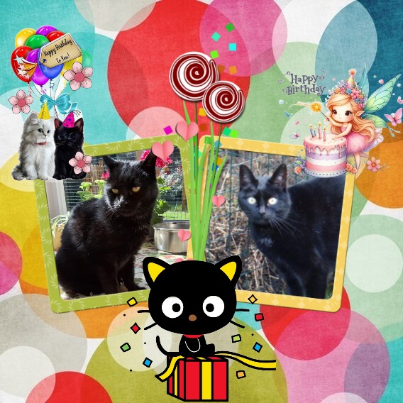 Oldwoman uploaded   34  day/s  ago