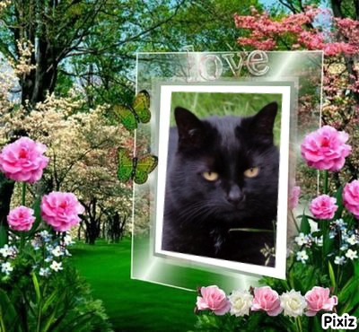 Tondo of the Oldwoman family