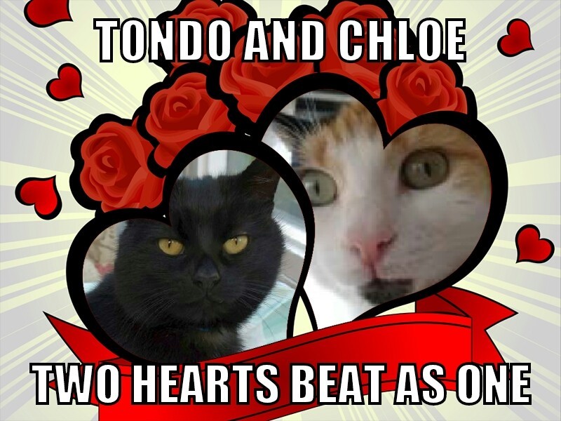 Tondo of the Oldwoman family