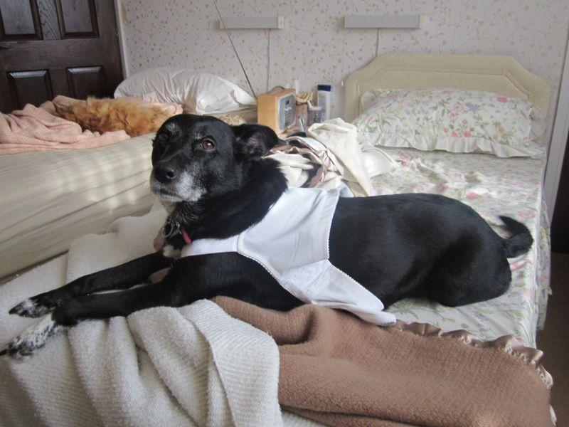 Oldwoman uploaded   3 year/s ago