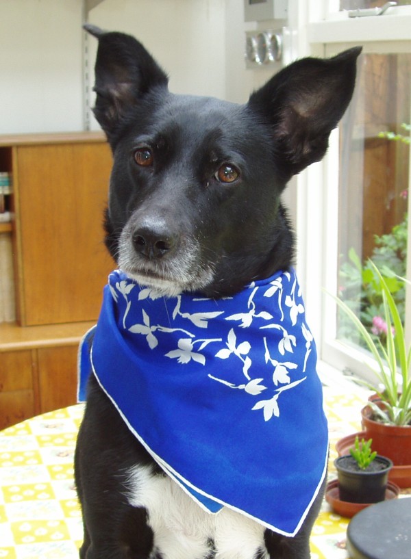 Oldwoman uploaded   10 year/s ago