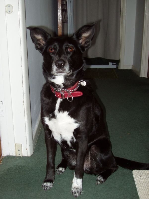 Oldwoman uploaded   10 year/s ago