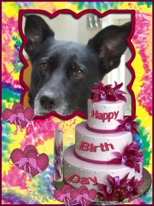 Aggie of the Oldwoman family