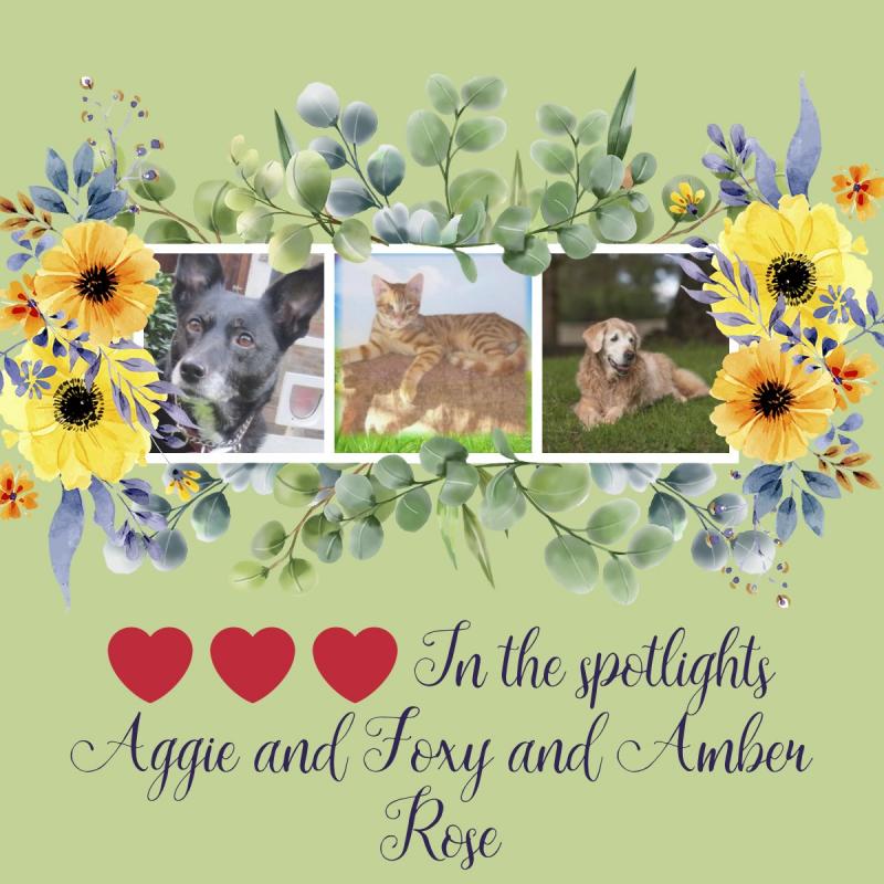 Aggie of the Oldwoman family