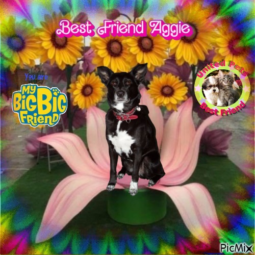 Aggie of the Oldwoman family