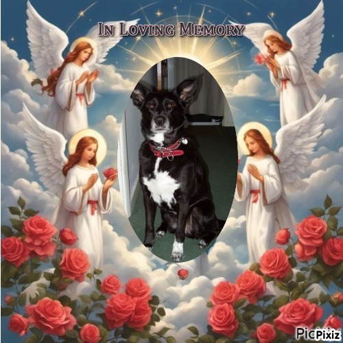 Aggie of the Oldwoman family