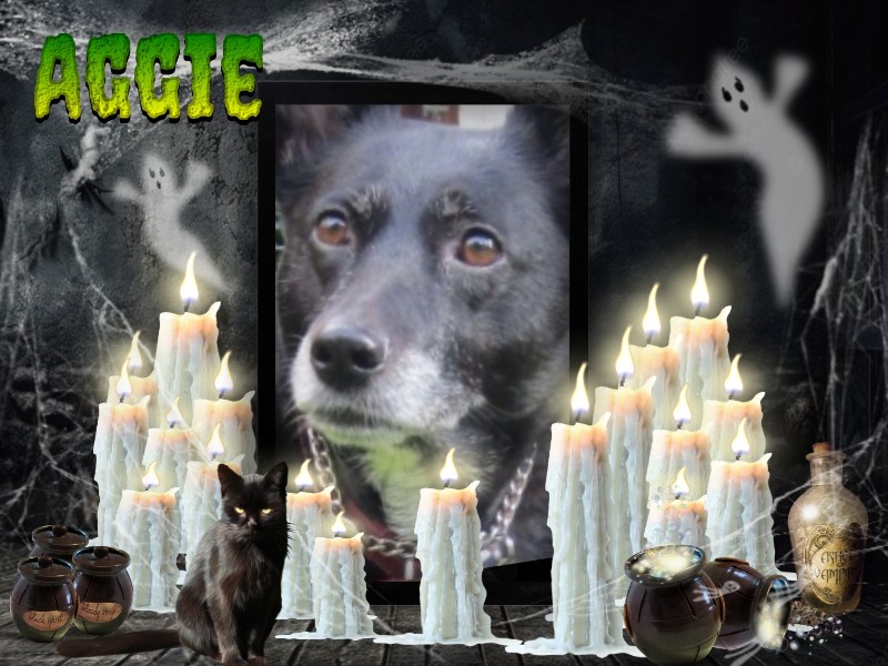 Aggie of the Oldwoman family