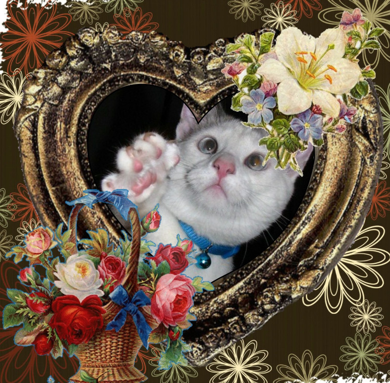 Pcats224 uploaded   6 year/s ago