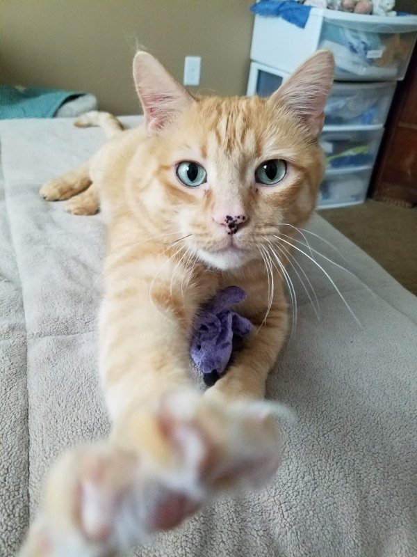 Pcats224 uploaded   6 year/s ago