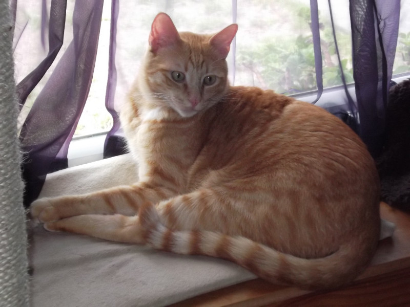 Pcats224 uploaded   5 year/s ago