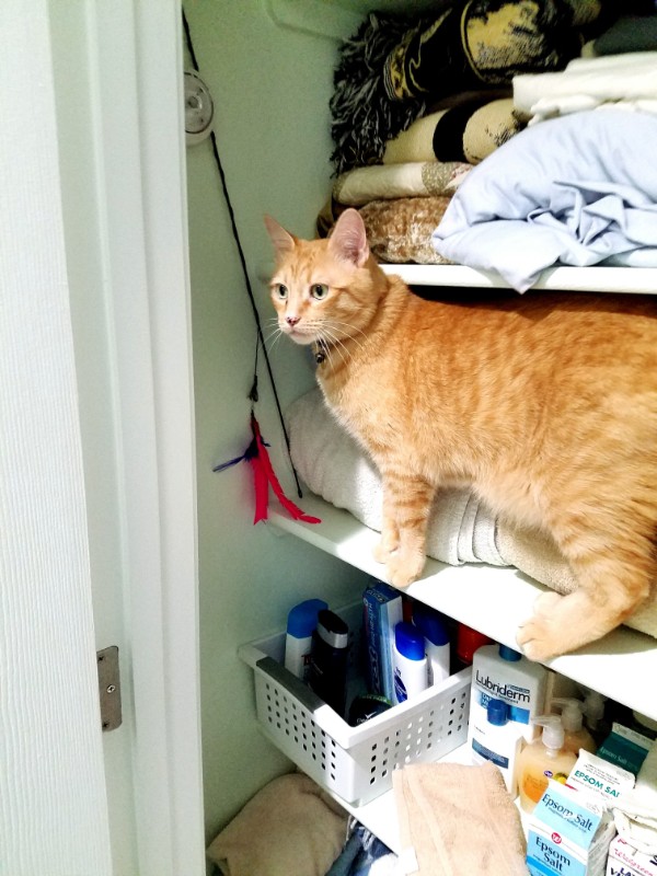 Pcats224 uploaded   6 year/s ago