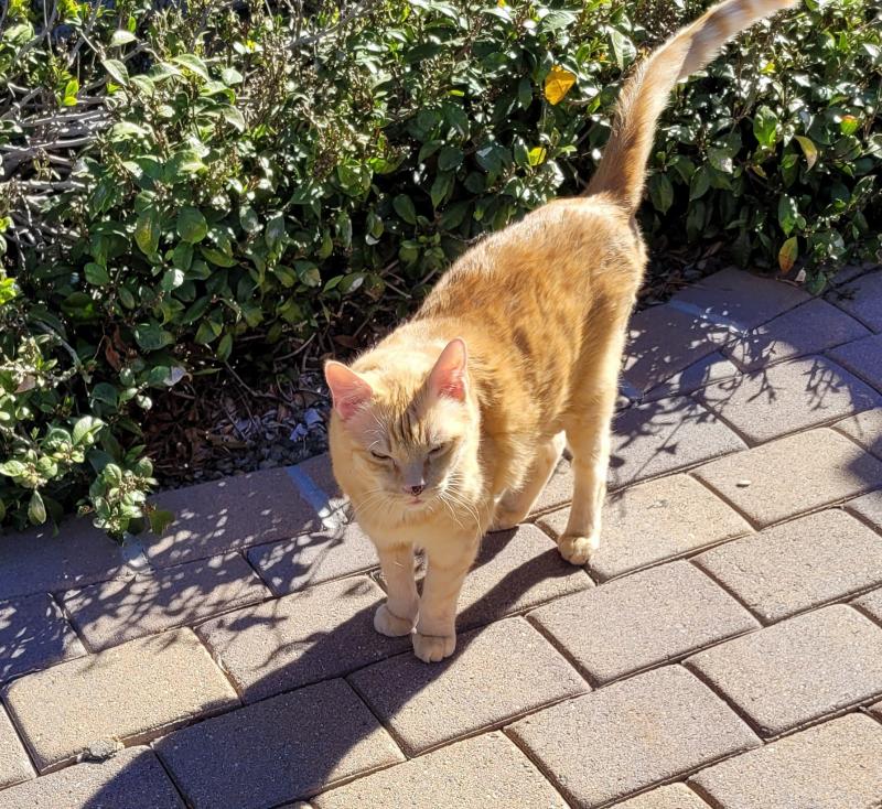 Pcats224 uploaded   1 year/s ago