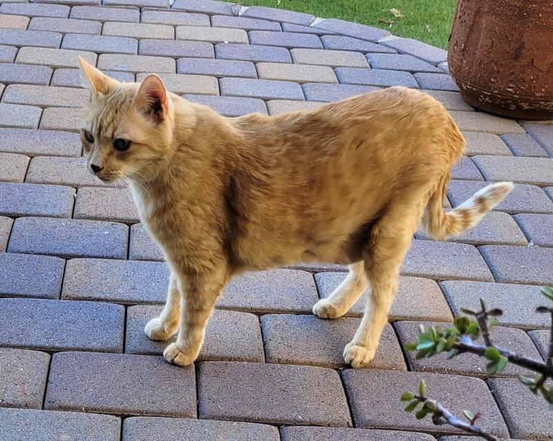 Pcats224 uploaded   1 year/s ago