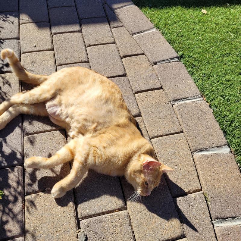 Pcats224 uploaded   1 year/s ago