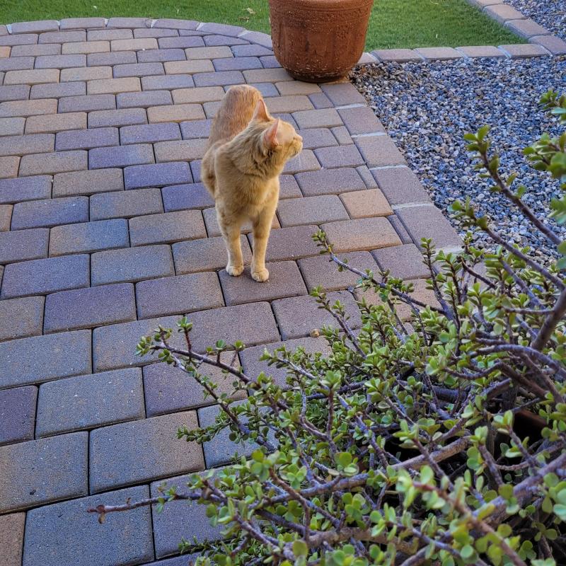 Pcats224 uploaded   1 year/s ago