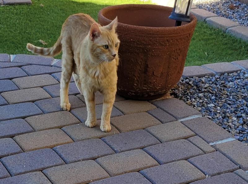 Pcats224 uploaded   1 year/s ago